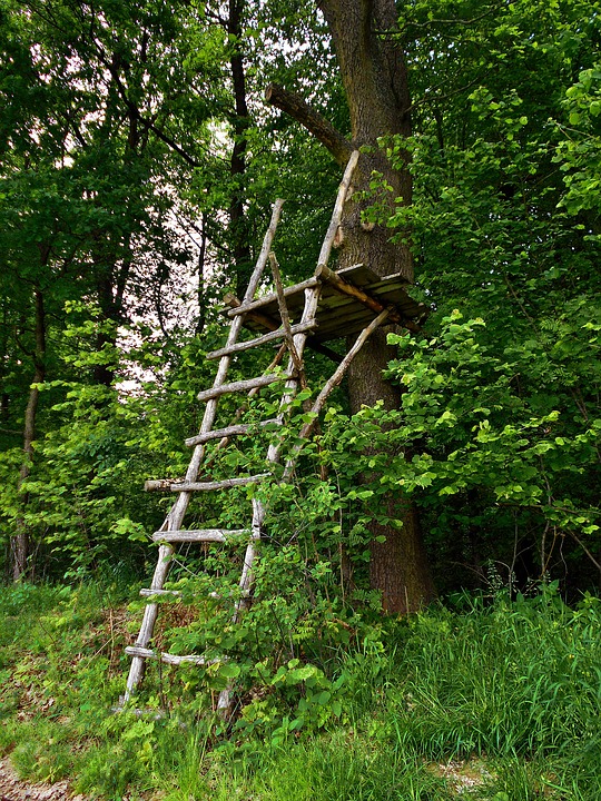 tree stand safety